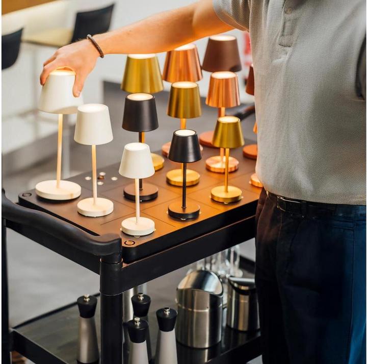 Produktbild APS Servier-/Transportwagen "READY"