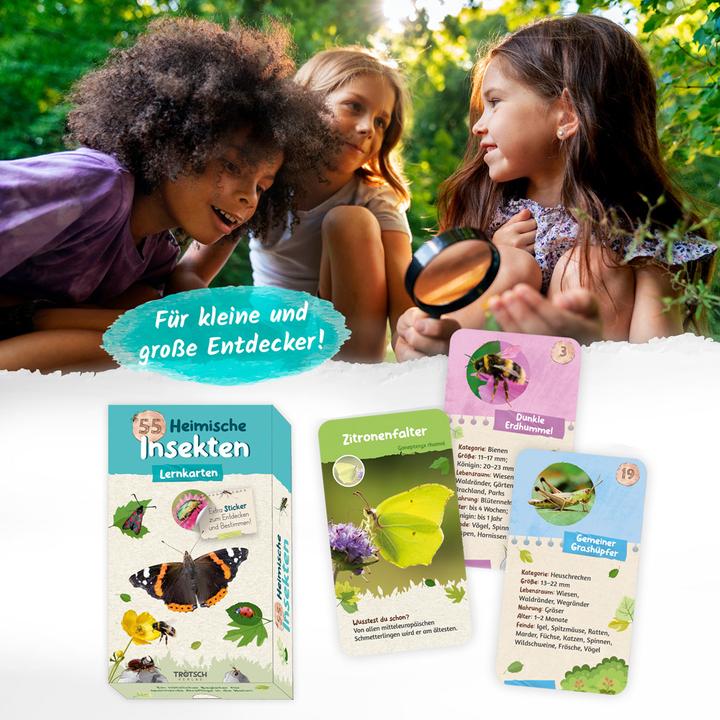 Actual product image 55 flashcards native insects