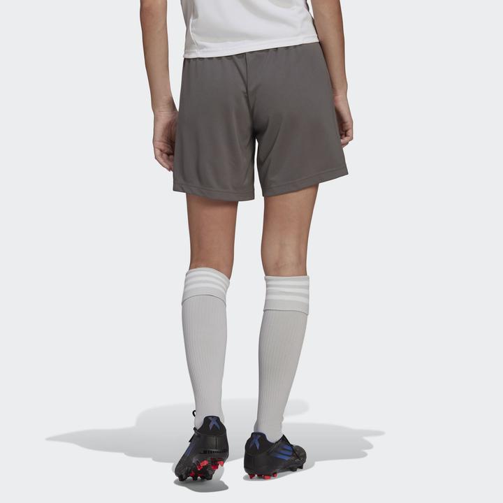 Actual product image adidas Entrada 22 Shorts (M)