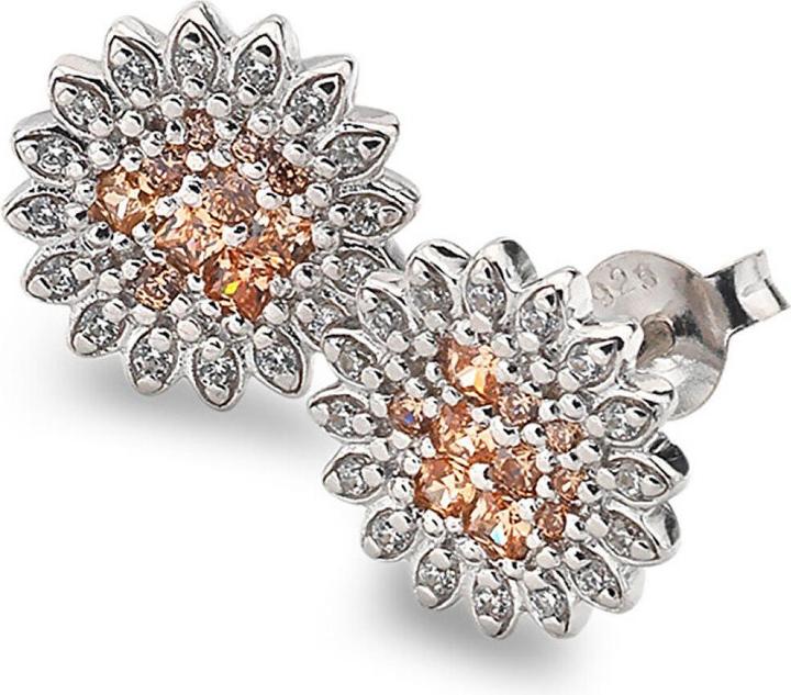 Immagine prodotto Hot Diamonds Orecchini in argento Emozioni Spirzzare EE032 (Argento)