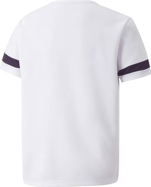 Actual product image Puma teamRISE Jersey Jr-704938 (152)