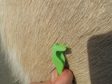 Produktbild Tick Twister Smartick