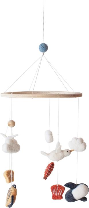 Actual product image Sebra Seven Seas