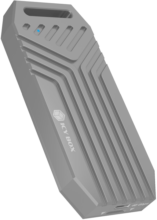 Icy Box IB-1919M-C42 (M.2)