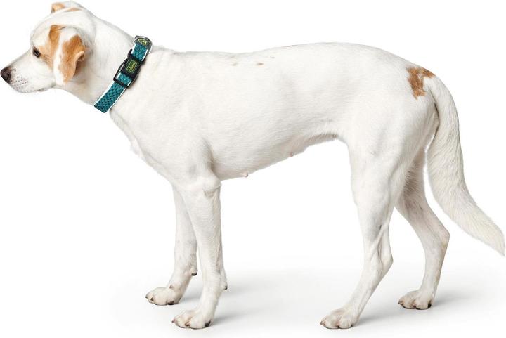 Produktbild Hunter Hundehalsband Hilo Vario Basic (S, M, Hund, Hundesport)