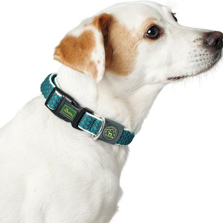 Actual product image Hunter Dog collar Hilo Vario Basic (L, M, Dog)