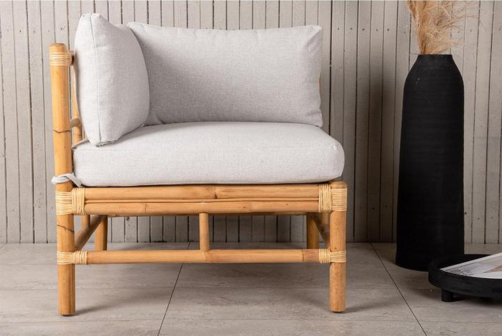 Produktbild Venture Home Cane