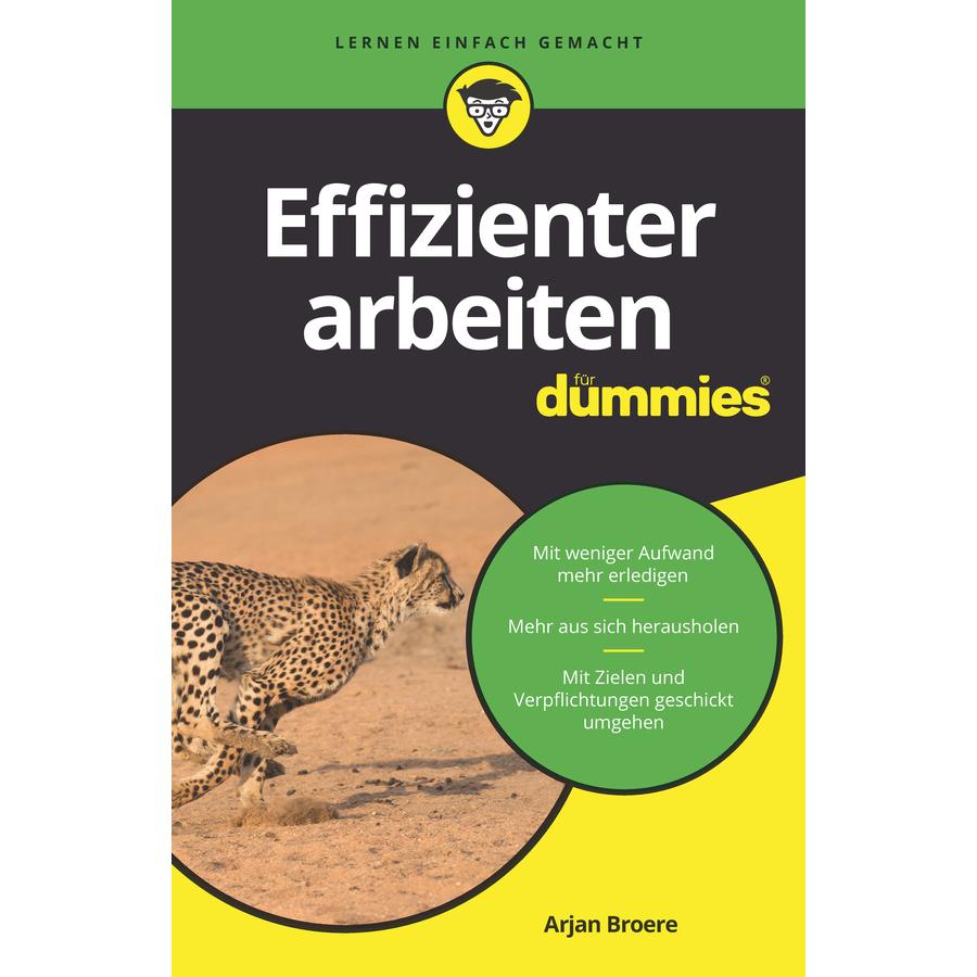 Effizienter arbeiten für Dummies, Fachbücher