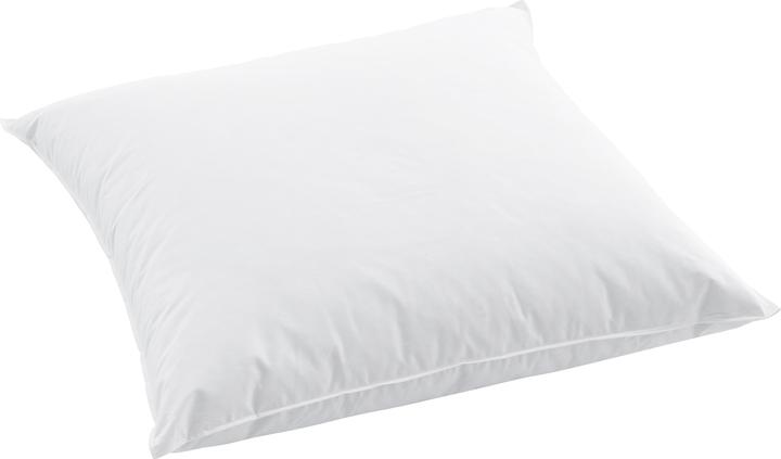 Swiss Dream by billerbeck Pillow Classic 90