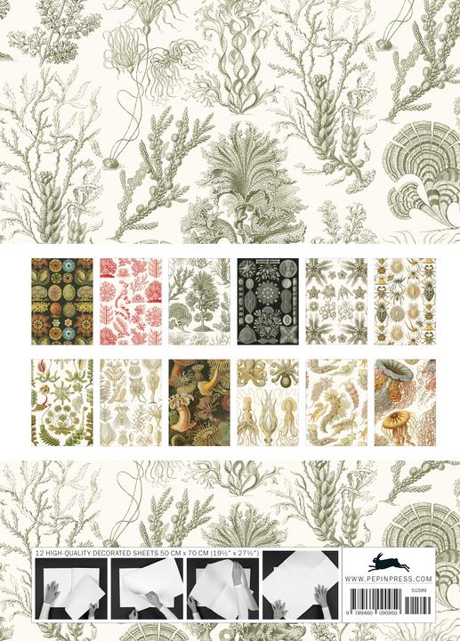 Produktbild Art Forms in Nature (12x)