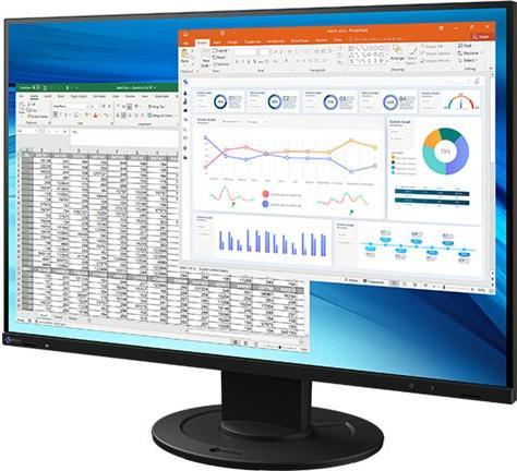 Immagine prodotto Eizo EV2410R FlexScan (1920 x 1200 pixel, 24.10")
