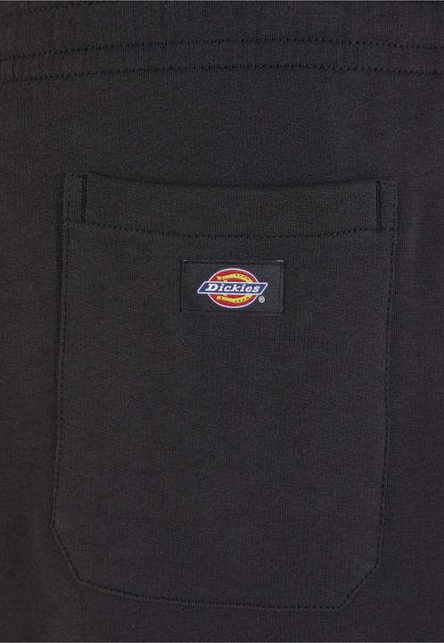 Immagine prodotto Dickies 154184 (M)