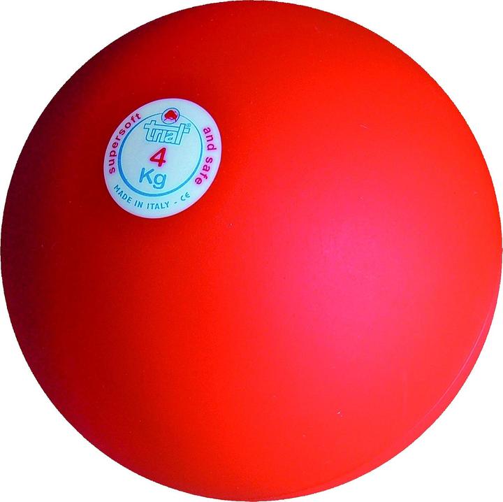 Actual product image Trial Shock ball (4000 g)