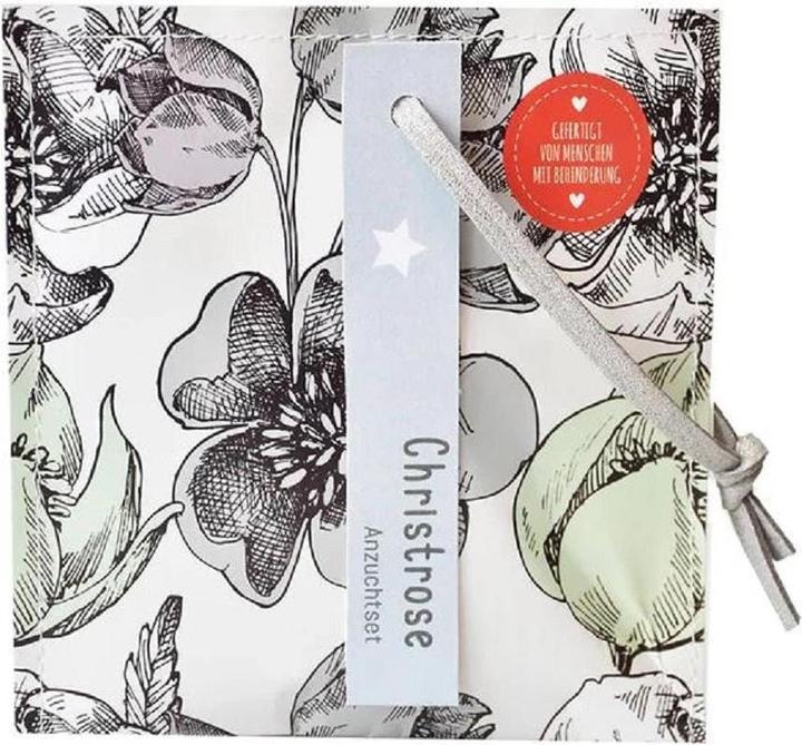 Produktbild Wunderle Wundertüte Weihnachtsgruss Christrosen Anzuchtset (Geschenktüte, 1 x)
