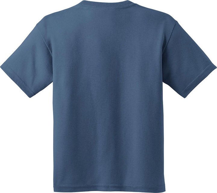 Actual product image Gildan Tshirt (2 piece pack) (M)