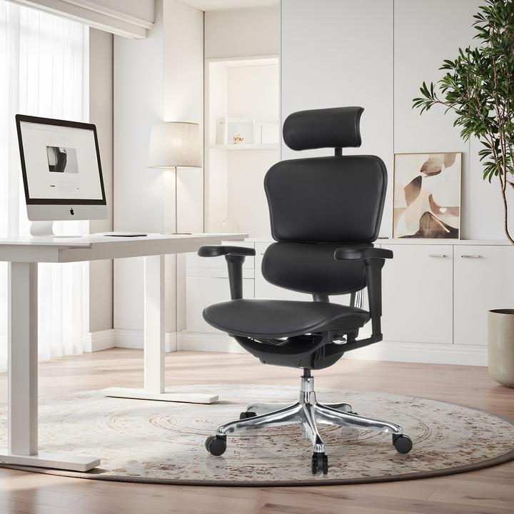 Actual product image Hjh Office Ergohuman Ultra L Gen2 (46 - 58 cm)