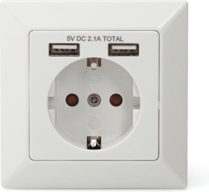 Image du produit Digitus Prise avec 2 ports USB