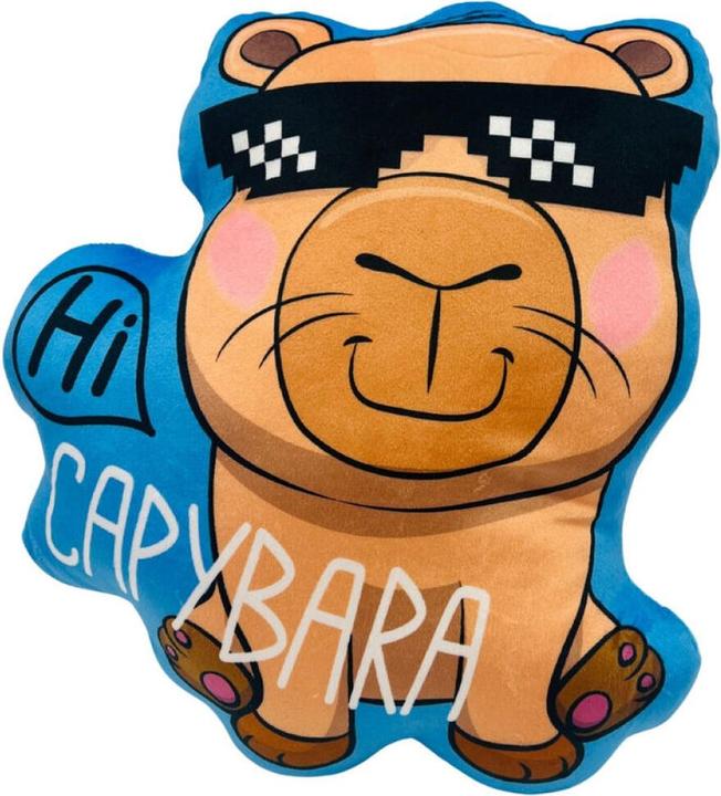 Produktbild Sanrio Capybara 3D cushion