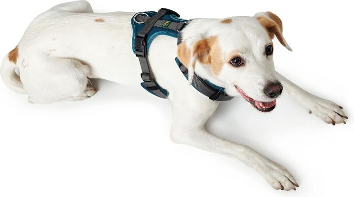Image du produit Hunter Harnais Maldon, M-L, pétrole/gris, taille chien : M, L (M, L, Chien, Sport canin)