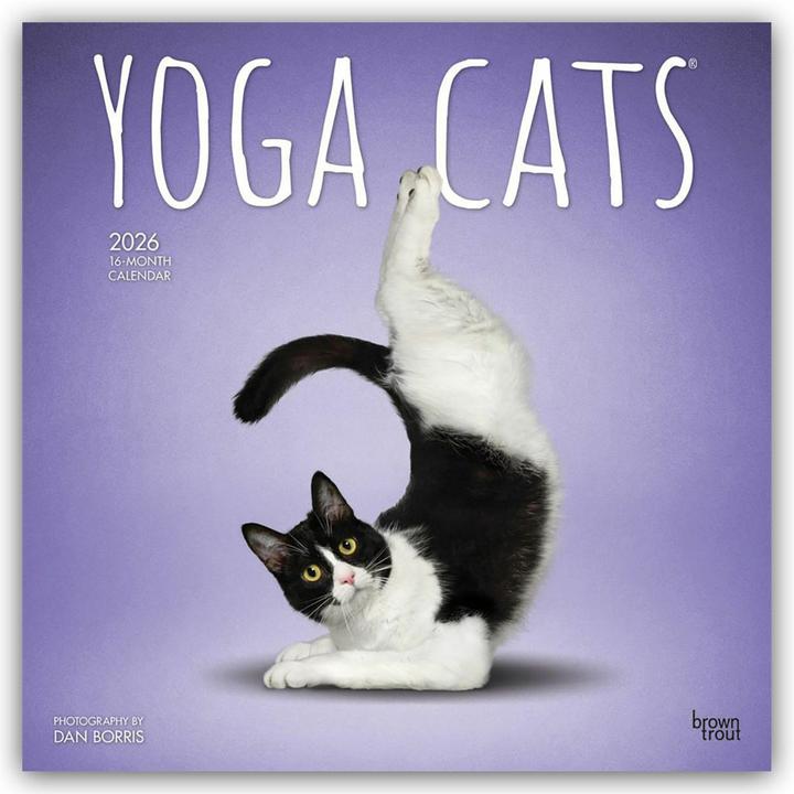 Produktbild Yoga Cats - Katzen Yoga 2026 - 16-Monatskalender (30.5 x 30.5 cm)