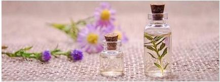 Produktbild Laboratoire du Haut-Ségala Vanilleöl aus Madagaskar (Körperöl, 50 ml)