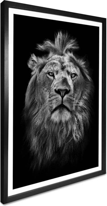 Immagine prodotto Trenddeko Leone (30 x 40 cm)