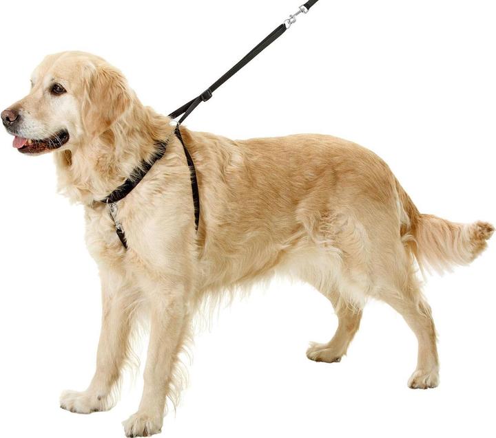 Image du produit Karlie Easy Walker (L, Chien, Promenade)