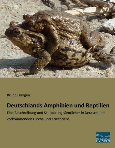 Produktbild Deutschlands Amphibien und Reptilien (Deutsch, Bruno Dürigen, 2015)