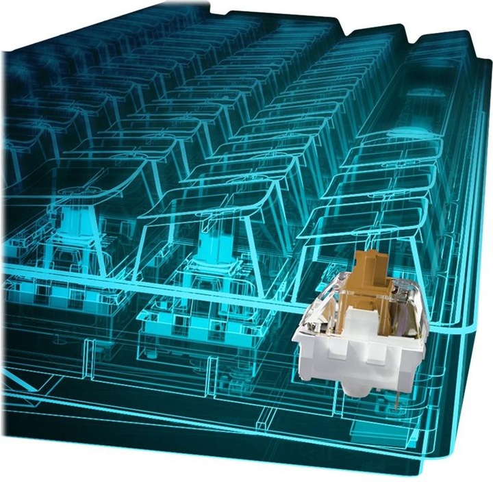 Actual product image Sharkoon Skiller SGK50 S4 (DE, Cable)