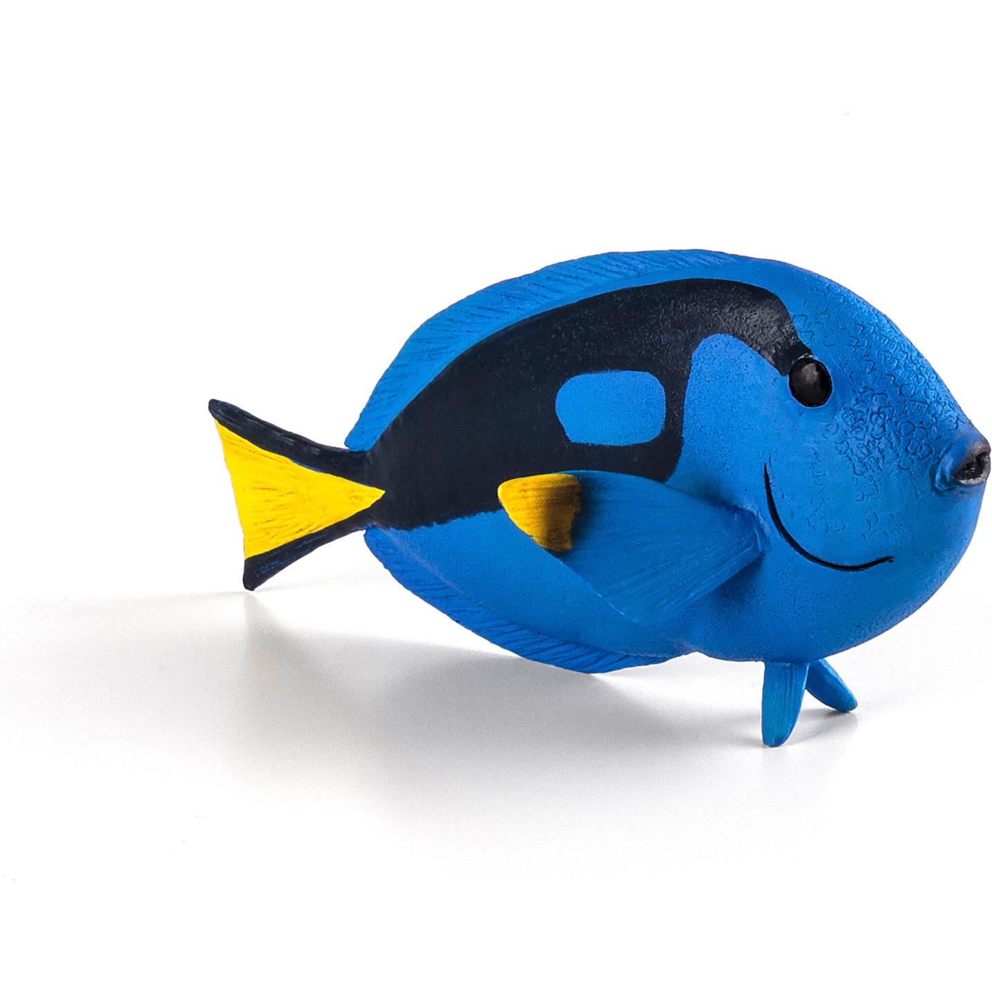 Animal Planet Pallet doctor fish