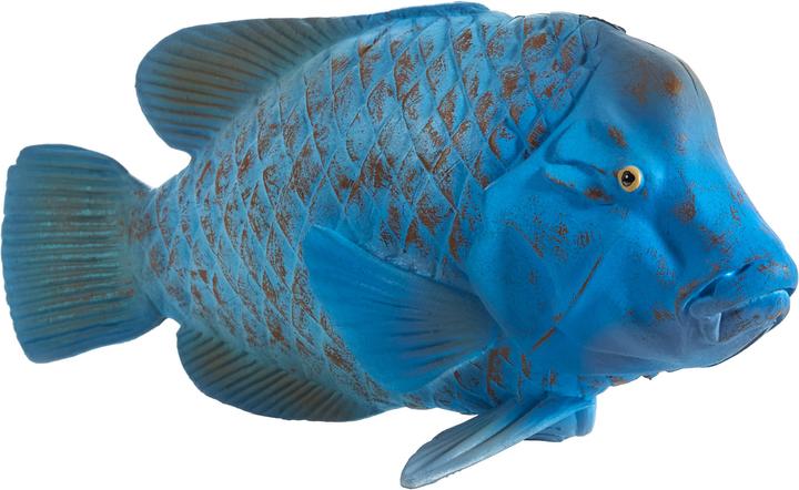 Produktbild Animal Planet Riesenlippfisch