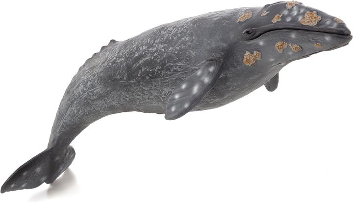 Produktbild Animal Planet Grauwal