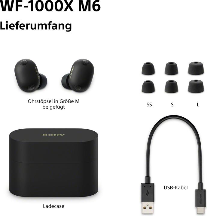 Produktbild Sony WF-1000XM6 (Digitale Geräuschunterdrückung, 8 h, Kabellos)