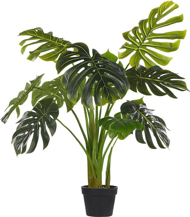 Immagine prodotto Beliani Monstera Plant (113 cm)