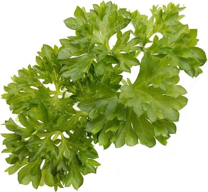 Produktbild Click and Grow Substratkapsel Petersilie (Kräutersamen)