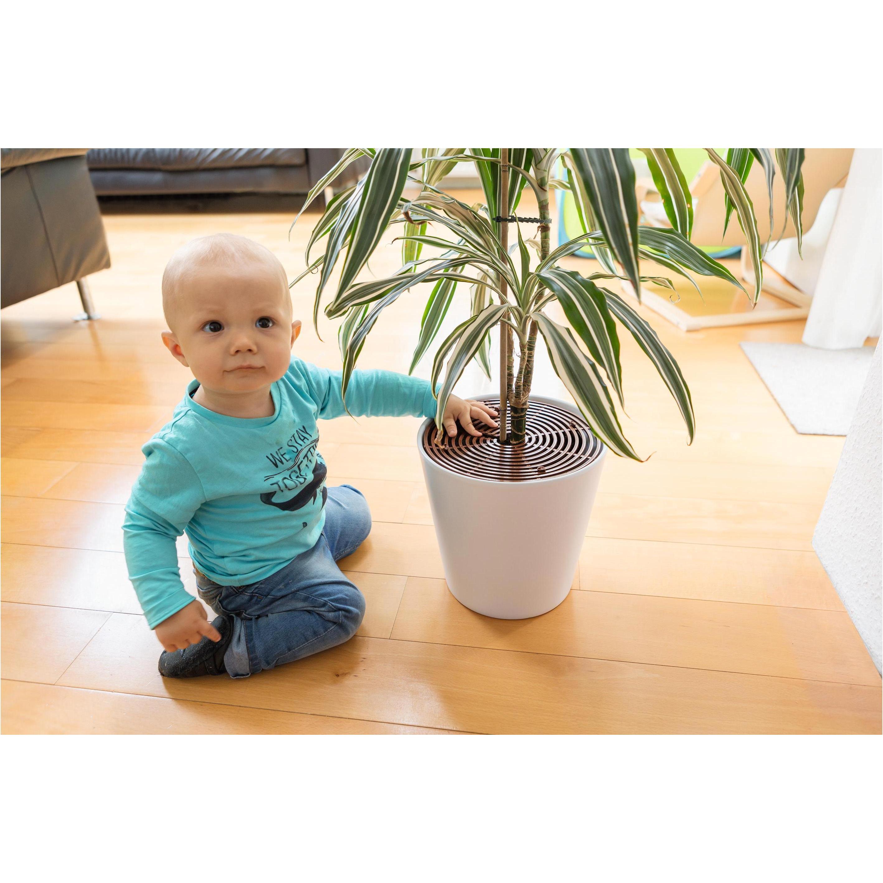 Thumbnail - Abus, Kindersicherung, Noah