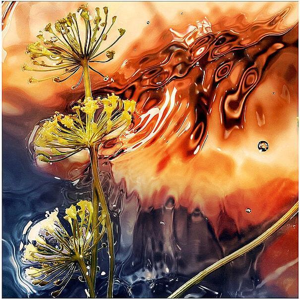 Immagine prodotto Davidoff Eau de Parfum Reborn (Eau de parfum, 100 ml)