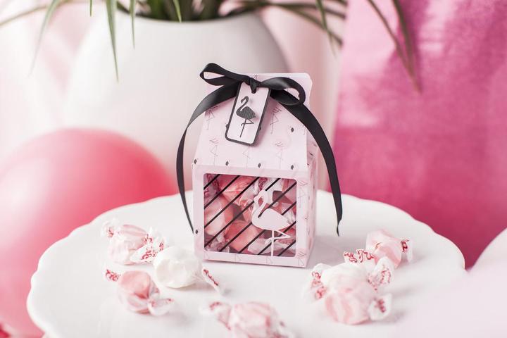 Actual product image Cricut Craft film Acetate (stable)