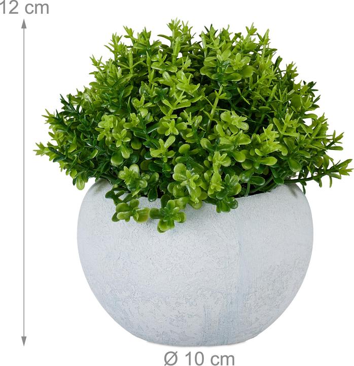 Image du produit Relaxdays Set de plantes artificielles (12 cm)