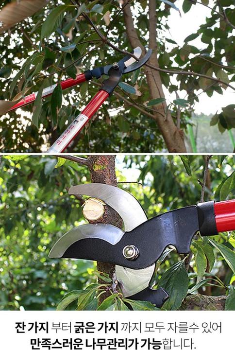 Actual product image Paros Astschere "Präzisionsschnitt"