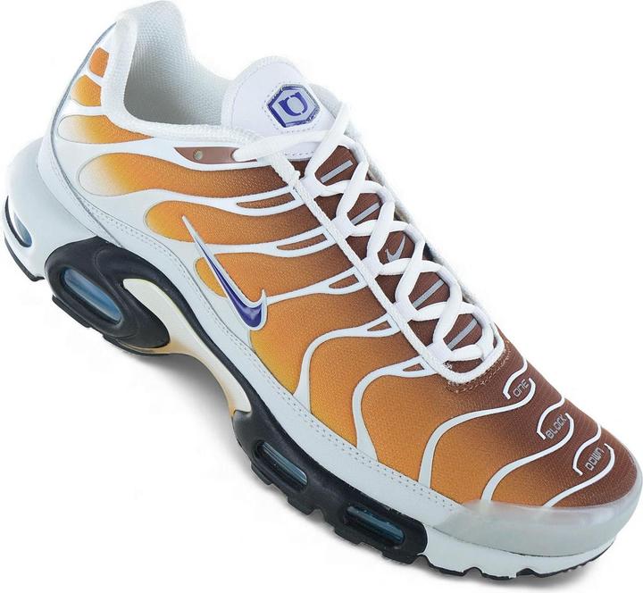 Image du produit Nike Air Max Plus One Block Down (43)