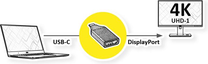 Produktbild Roline DisplayPort—USB Typ C (DP, 5.25 cm)