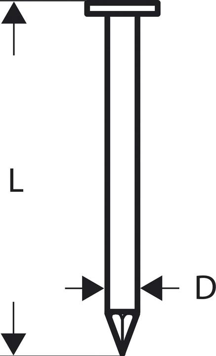 Bosch Professional Zubehör Clou en bande à tête ronde SN21RK 75G 2,8 mm, 75 mm, galvanisé, lisse