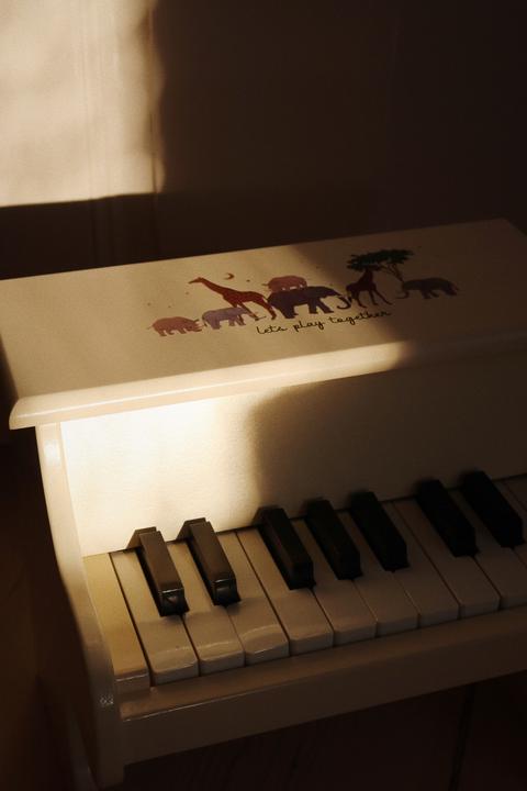 Immagine prodotto Konges Slojd Pianoforte a coda Safari
