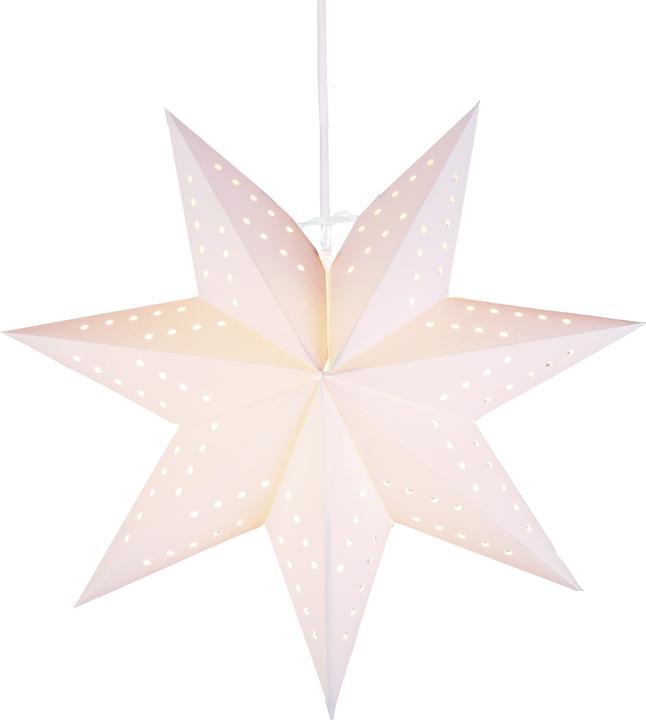 Image du produit Star Trading Bobo