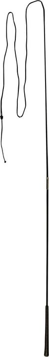 Actual product image Kerbl Lunging whip