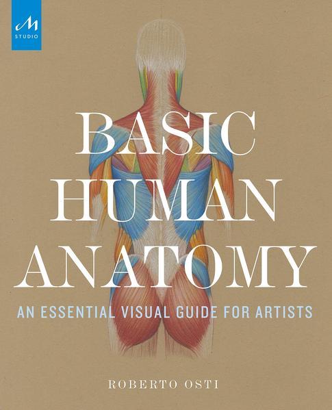 Produktbild Basic Human Anatomy (Englisch, Roberto Osti, 2022)