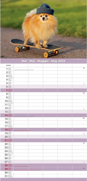 Produktbild Familienplaner Premium Funny 2023 24.5 x 51.5 cm (24.5 x 51.5 cm)