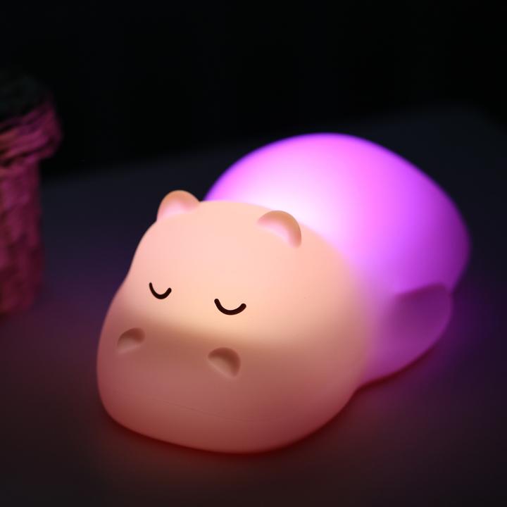 Image du produit Nattou Hippo