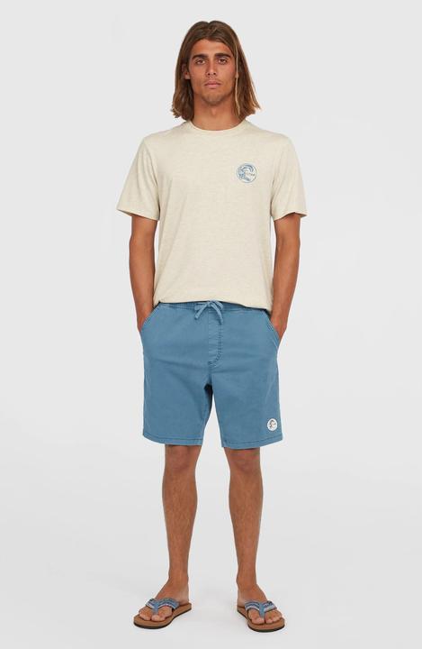 Produktbild O'Neill O'Riginals Walk Shorts (L)